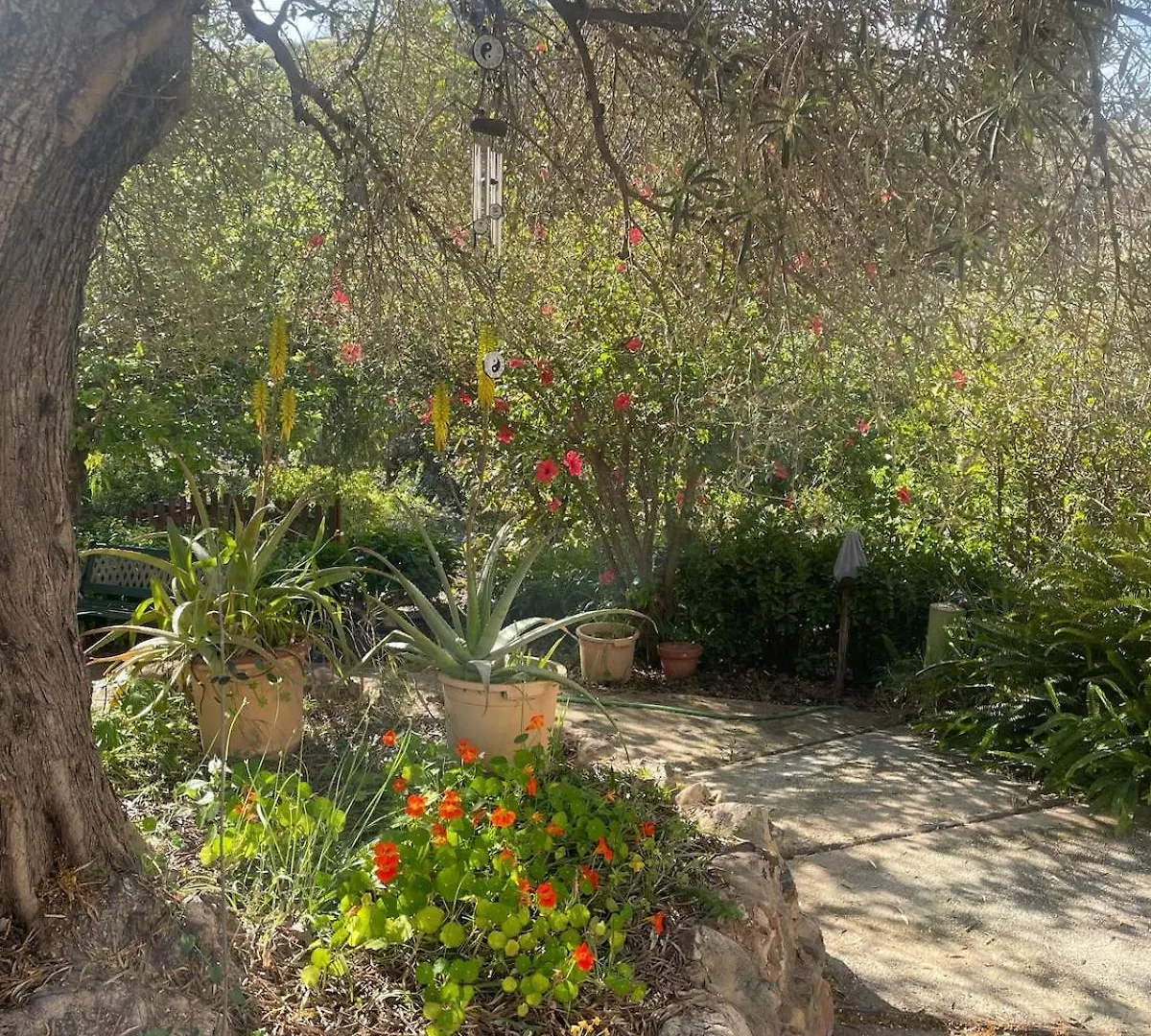 Authentic Luxury Villa In Oasis With Pool Close To Malaga Almogía